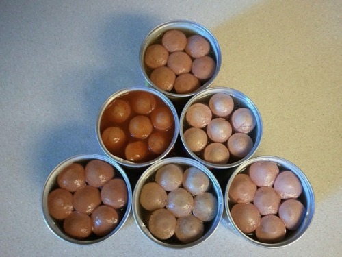 Vienna Sausage Aesthetic