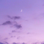 lavenderr-hazee
