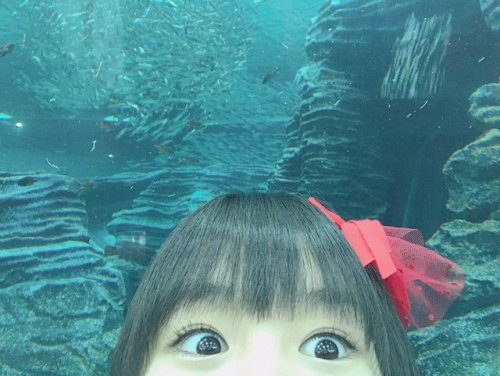 高倉萌香さんのツイート: 明日、NHKごごナマさんにひなたんと出演させていただきます！ 午後3時08分からです 全国放送なのでぜひチェックよろしくお願いします✨ 緊張するけど慌てないようにがんばります