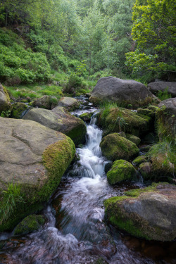 90377:    Woodhead stream by Greg Ward  