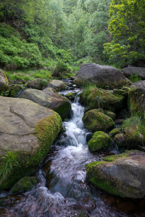 Woodhead stream by Greg Ward