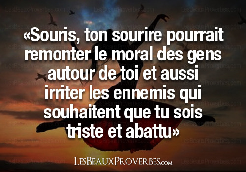 Proverbes / Novembre Tumblr_mwfp1bUyk91rrb1g5o1_500