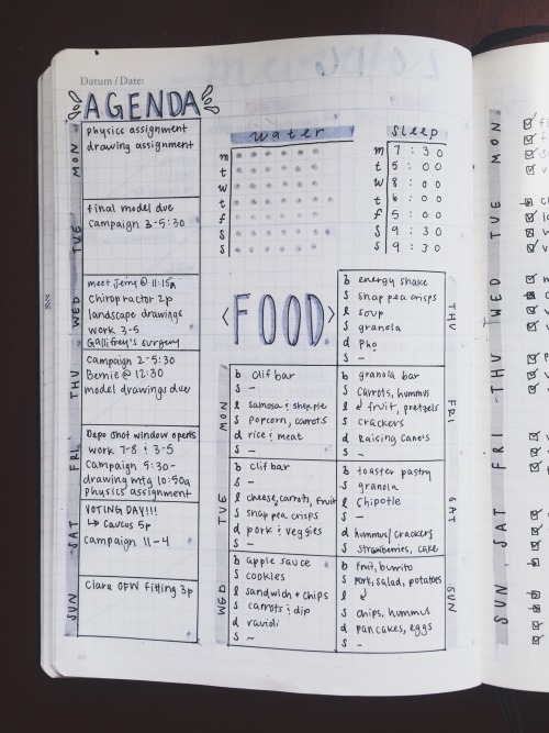 studytildawn:  Went for a more simple yet effective layout last week. Really wanted to keep track of