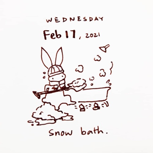 When life gives you polar vortex #abunaday #daily #bunny #doodle #polarvortex #snow #bath #一日一兔 #极地涡