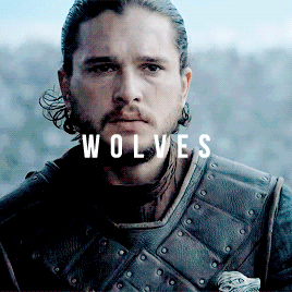 starklyannas:The winters are hard. But the Starks will endure. We always have.