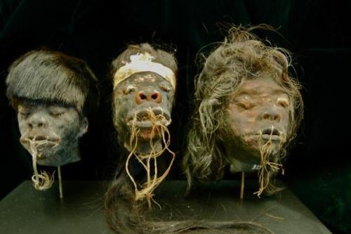 Sex sixpenceee:  Shrunken heads was rare until pictures