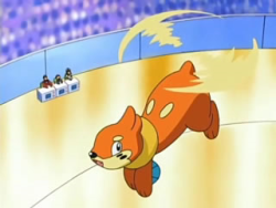 name-rater:  Tails - male Buizel Since they can both use their twin tails to fly.   Credit: Molly