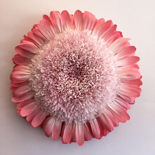 whatjanesaw:  Tiffanie Turner’s paper flowers porn pictures