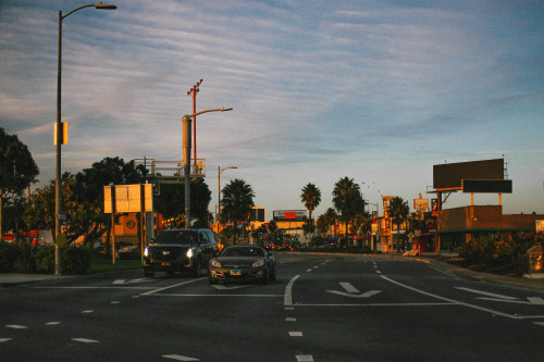 Signs of Life, Los Angeles – December 6th, 2020Instagram: @matthewgrantanson