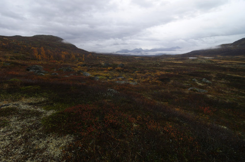 Day 7: Foggy morning at Unna Allakasstugorna by Gregor Samsa