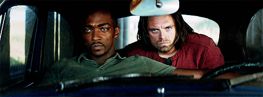 DAILY BUCKY BARNES
