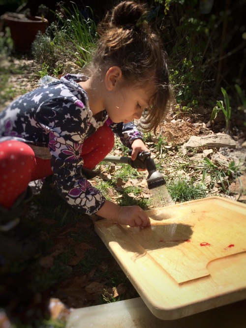 southern4perspective:  Rabbit harvest. March 22nd 2016 Atlanta, Ga.  I am very proud of my daughter. Today she help me harvest our rabbits from start to finish. She’s witnessed it plenty of times but this is the first time she had hands on experience.