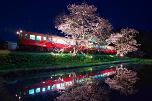 しゅうー★*彡W×B‏@magichour_800今年は桜が撮れなかったので以前撮った写真をUP！#ファインダー越しの私の世界