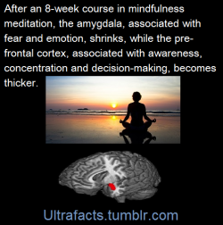 ultrafacts:(Fact Source&amp;more info on study[Article]) Follow Ultrafacts for more facts