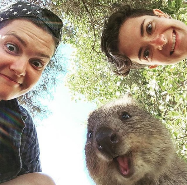 wtbw:  (via It’s Impossible to be Grumpy After You See These Quokka Pics - Neatorama)