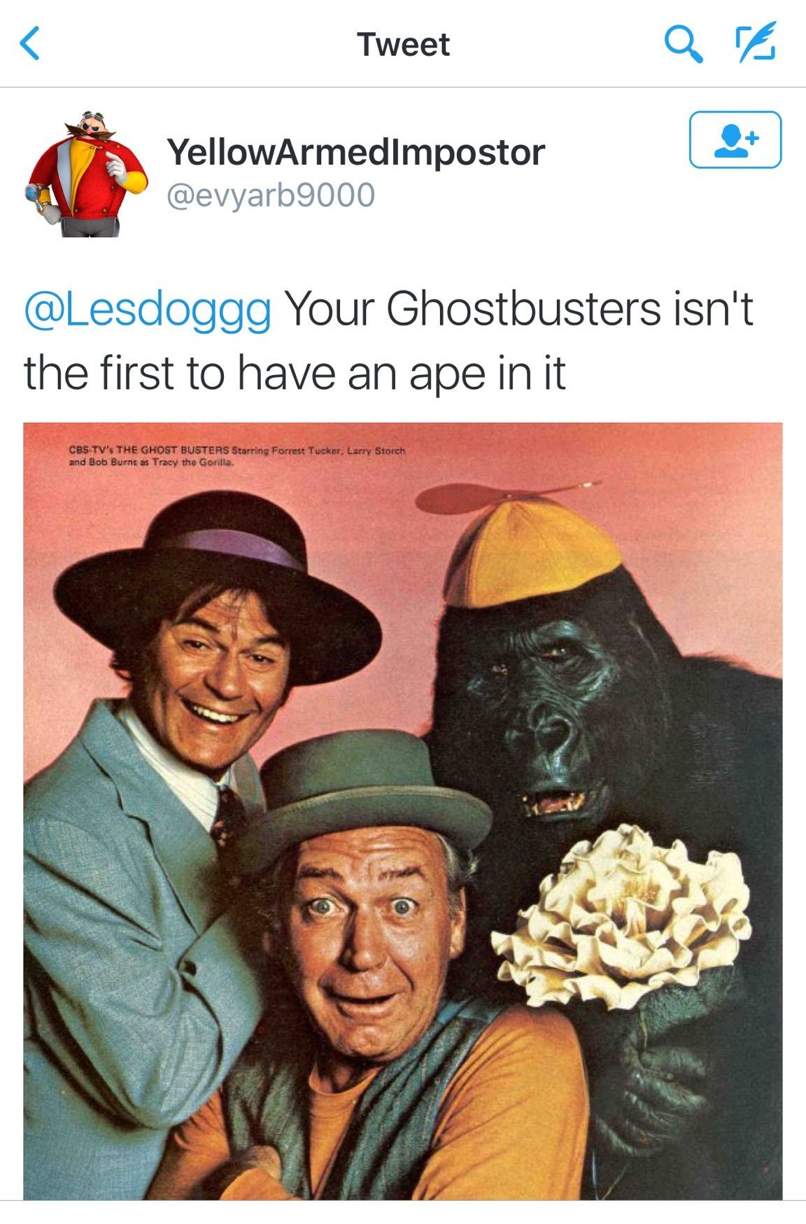 nevaehtyler:  destinyrush:  Ghostbusters star Leslie Jones has been racially harassed