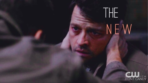 heavensclaire:she loved me unconditionally. all she asked for, was one thing; to stop.dean.. stop.