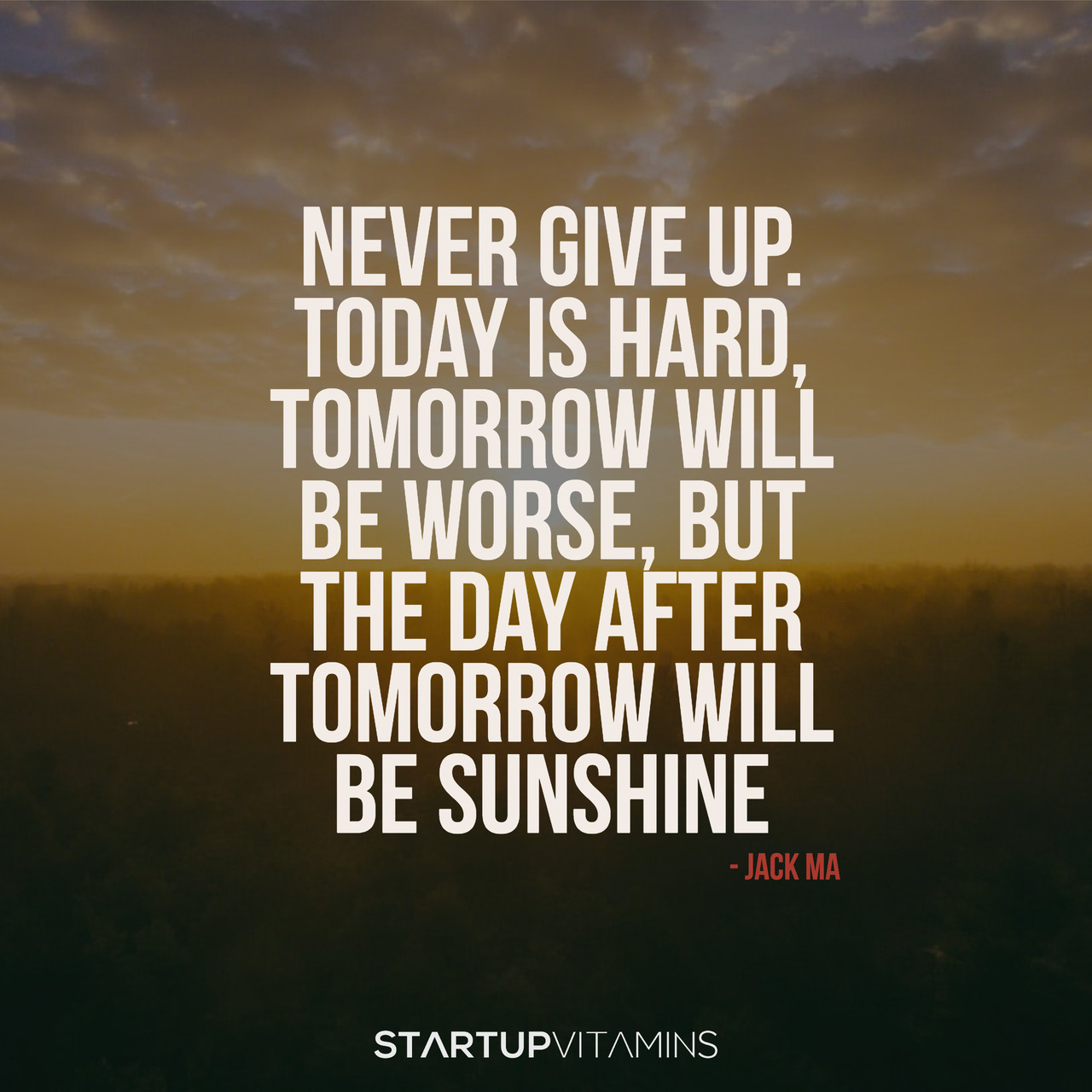 Startup Vitamins — “Never Give Up. Today Is Hard, Tomorrow Will Be...