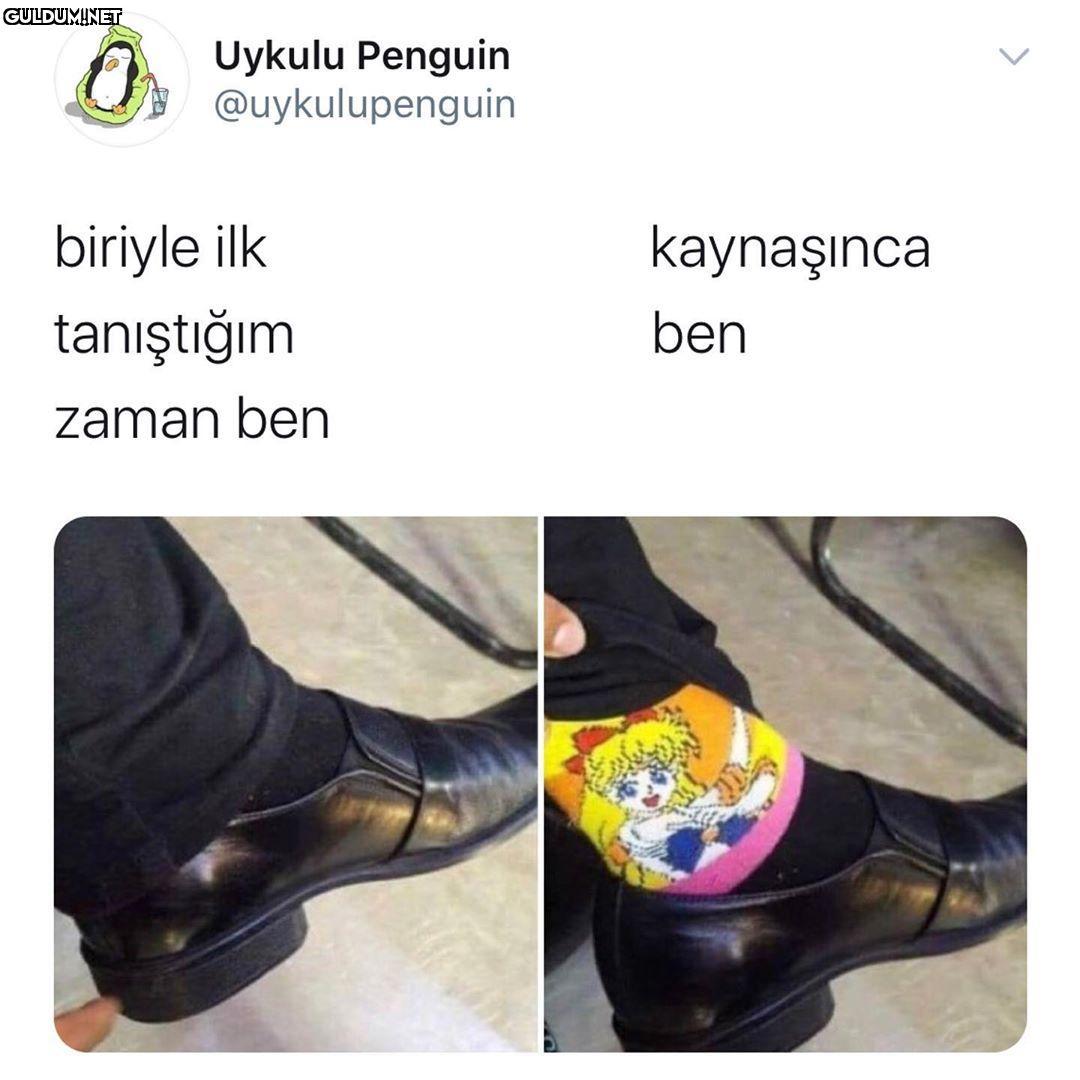 Uykulu Penguin...