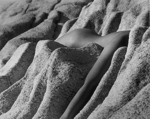wantonwomanmeohmy: Karin Rosenthal Très belles images…