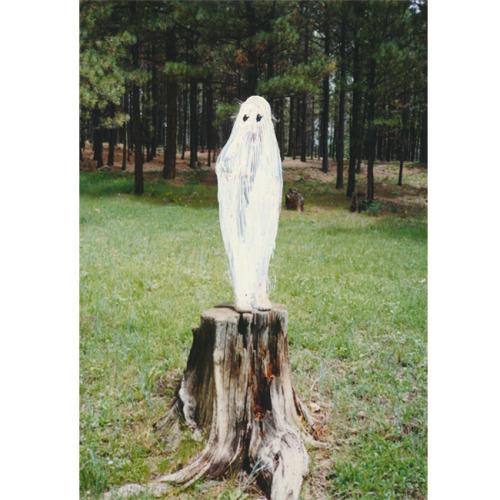 ghostphotographs:Stumped