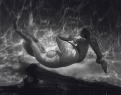 fragrantblossoms:   Andre De Dienes, Underwater Nude, before 1958.  