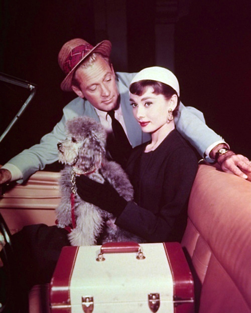 William Holden, Audrey Hepburn / publicity still for Billy Wilder’s Sabrina (1954)