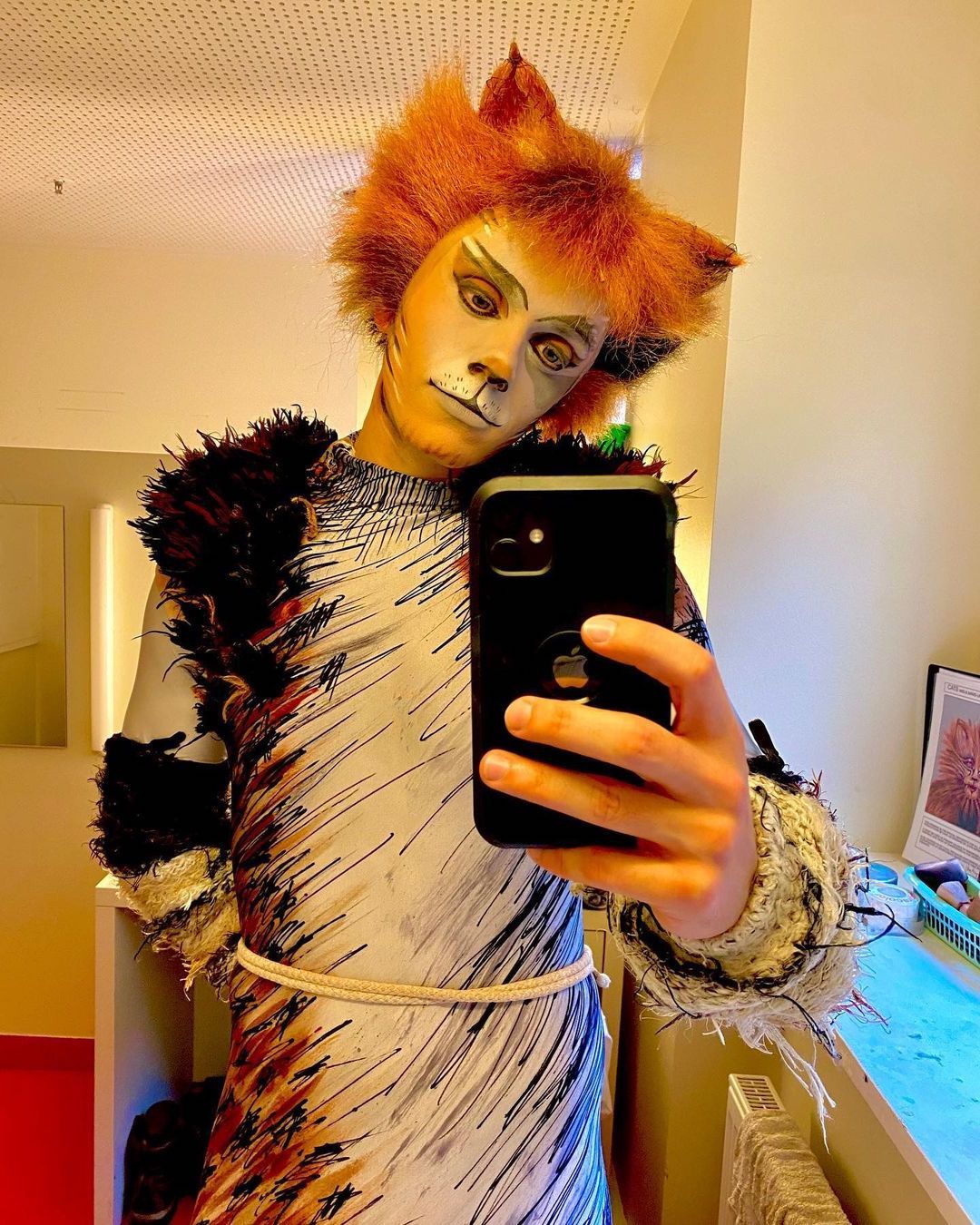 'Cats' gifs and stills — Plato debut for Daniel Timoney!