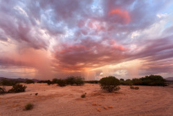 seethes:  A beautiful monsoon sunset north