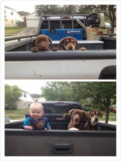 cute-overload:  The difference a year makeshttp://cute-overload.tumblr.com source: http://imgur.com/r/aww/zpXhLoV  In love