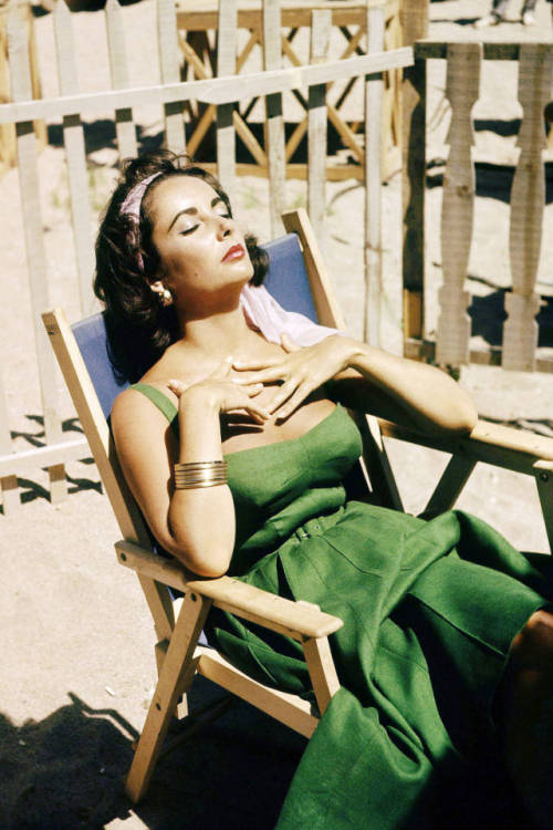 Elizabeth Taylor dans : Suddenly Last Summer