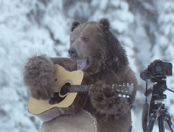 Multiclassing bard and druid