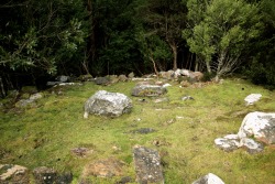 romanovz-deactivated20141221:  Mt. Wellington, Tasmania 