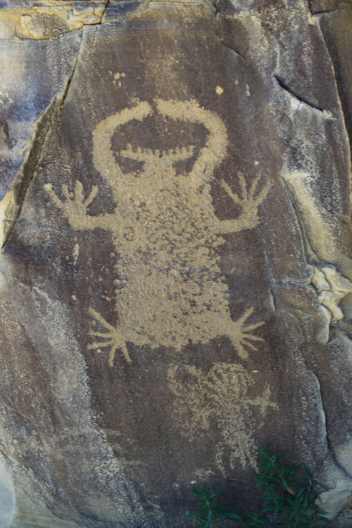 ancientart:Native American petroglyphs at Hot Springs County, Wyoming, USA.Archaeolog