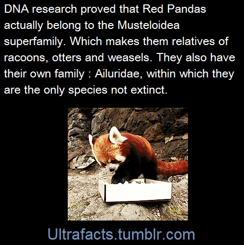 ultrafacts:     (Fact Source) Follow Ultrafacts for more facts    