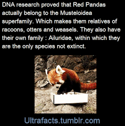 ultrafacts:     (Fact Source) Follow Ultrafacts