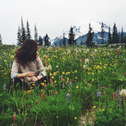onetrillionthoughts: pir-ado:x nature blog xall good things are wild and free