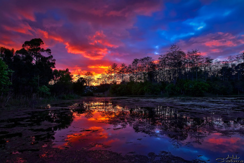 Sunset over Riverbend Park in Jupiter, FL by HDRcustoms (very busy) on Flickr.