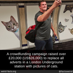 mindblowingfactz:  A crowdfunding campaign