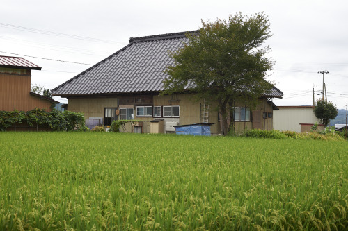 Funagata-machi  Tozawa-mura  Sakegawa-mura  in  Yamagata Prefecture舟形町 戸沢村 鮭川村（山形県）MASATOSHI SAKAMOT