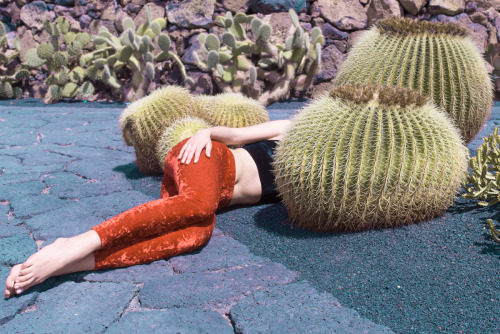 mpdrolet:  Giuseppe Palmisano   