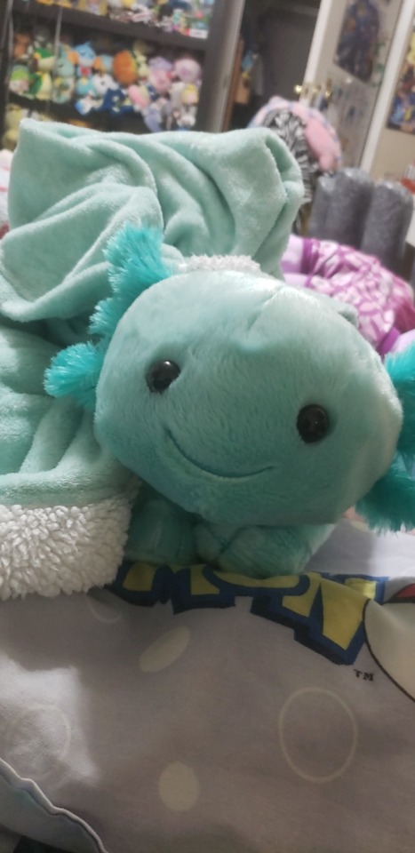 #axolotl build a bear on Tumblr