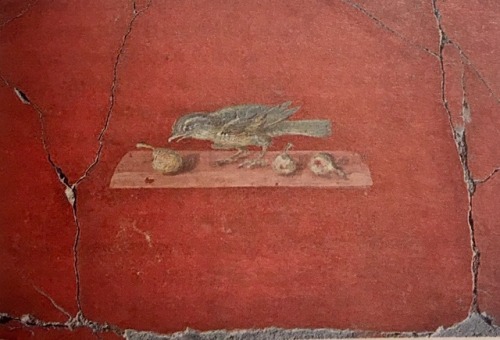 callainah: Fresco in Poppea’s Villa, Oplontis (Torre Annunziata, Naples, Italy)