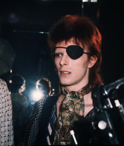 glamidols: David Bowie