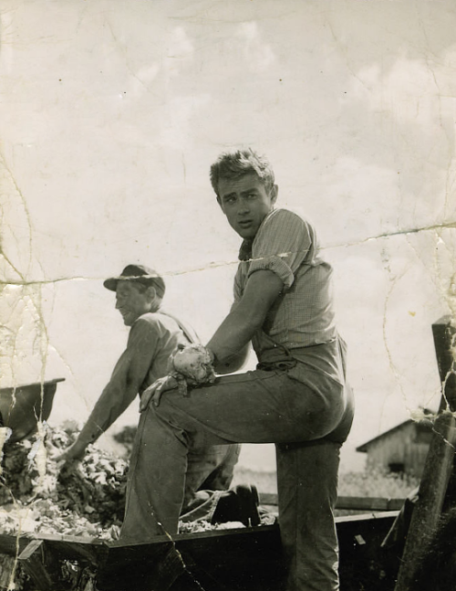 manculture:  James Dean