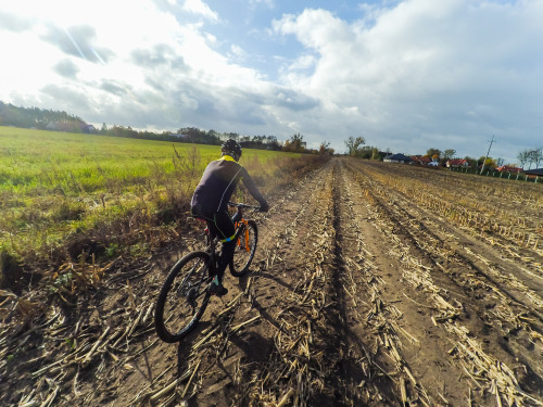 bicycleimpressions:Autumn wonderland by kocurkolandia.pl/