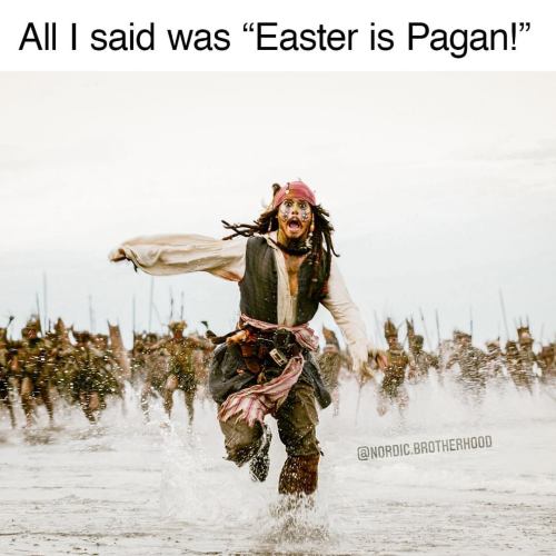 Follow ▶️ @nordic.brotherhood for more #paganmemes ⠀ ⠀ ⠀ #heathen #heathens #heathensofinstagram #he