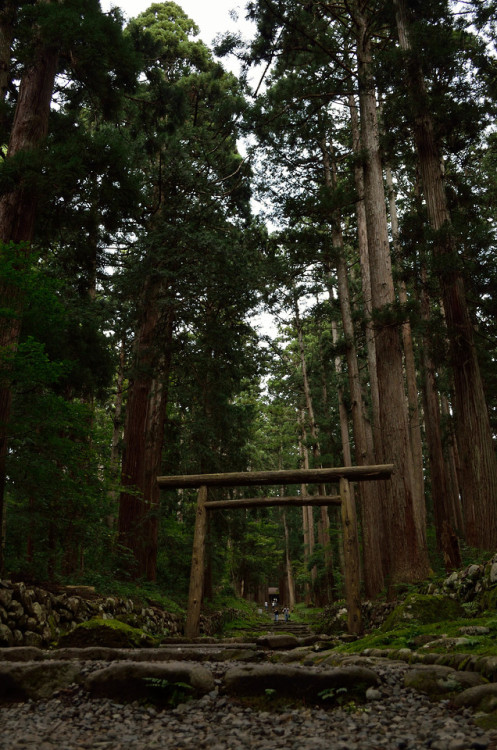 平泉寺白山神社