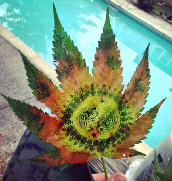 universes-child:  Tye-dye marijuanna 