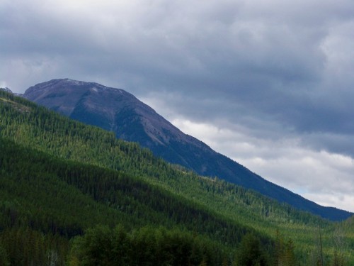 Oh the sweet memories.Horseback-riding trip in the Canadian Rockies, Alberta, Sept. 2014